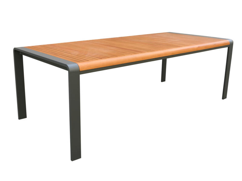 Garden Plus Salerno table de jardin 220x100 cm gris foncé/brun | Hubo