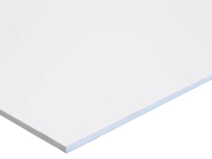 Orkaan Symmetrie Melodrama Scala Scafoam plaat 100x200 cm 5mm PVC wit | Hubo
