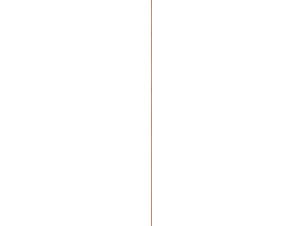 Schaaflat eik 12x12 mm 210cm