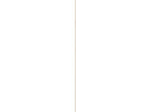 Schaaflat hardhout 9x9 mm 270cm wit