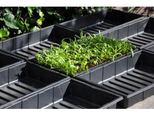 Seed tray zaaibak Grow Rack 12 37,5x23x6 cm 12 stuks