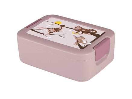 Sunware Sigma Home Food To Go lunchbox 1l singe 1