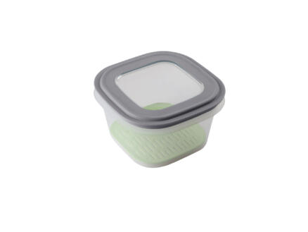 Sunware Sigma Home boîte alimentaire fraîcheur avec insert 1,8l transparent/gris 1