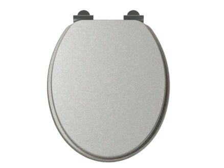 Allibert Silver WC-bril zilver 1