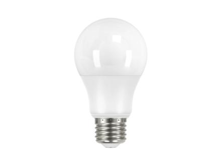 Prolight Smart Classic LED lamp E27 9W dimbaar 1