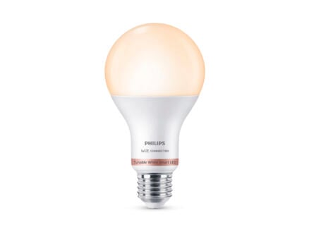 Reis boog Miniatuur Philips Smart LED kogellamp E27 100W dimbaar | Hubo