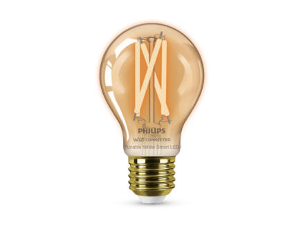 Philips Smart LED kogellamp filament amberglas E27 50W dimbaar 1