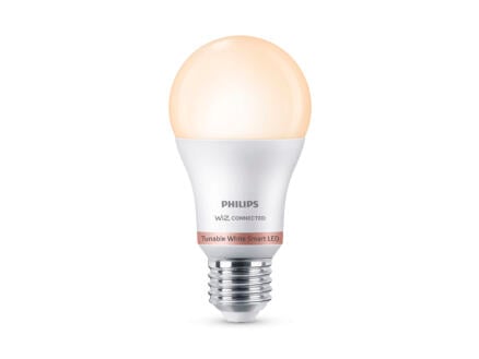 Philips Smart LED peerlamp E27 60W dimbaar wit 1
