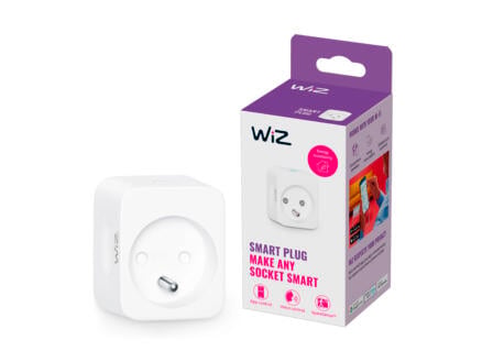 WiZ Smart Plug stekker