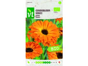 VT Souci orange bio