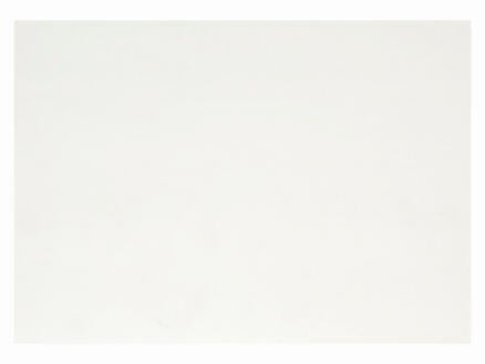 Dumaplast Standard lambris 390x10 cm 3,9m² blanc 1