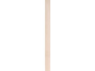 CanDo Steigerhout 195x30 mm 250cm