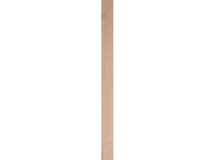 CanDo Steigerhout 3x19,5x250 cm verouderd