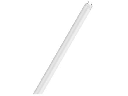 Osram Substitute Star tube LED T8 19,1W 1500mm blanc froid 1