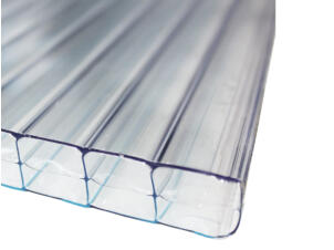 Scala Sunlite plaque de polycarbonate à parois multiples 250x98 cm 16mm transparent