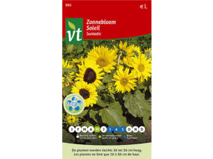 VT Suntastic soleil nain