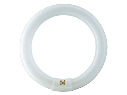Philips TL-lamp T9 32W 303,5mm koel wit