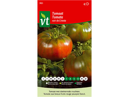 VT Tomate Noir de Crimée 1
