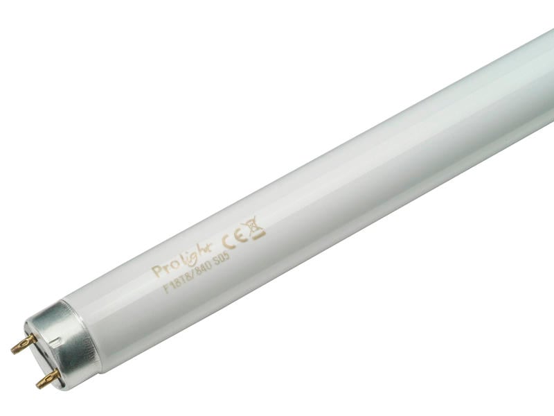 Prolight Tube TL fluorescent T8 G13 18W blanc froid | Hubo