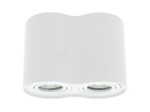Prolight Tussio LED plafondspot GU10 2x15 W rond wit