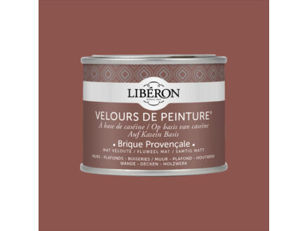 Velours de peinture peinture murale et plafond brique provencale 0,125l ...