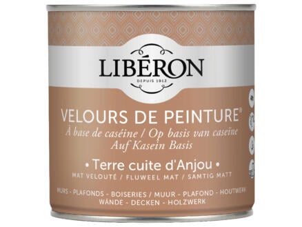 Velours de peinture peinture murale et plafond terre cuite d'anjou 0,5l ...