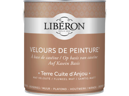 Velours de peinture peinture murale et plafond terre cuite d'anjou 2,5l ...