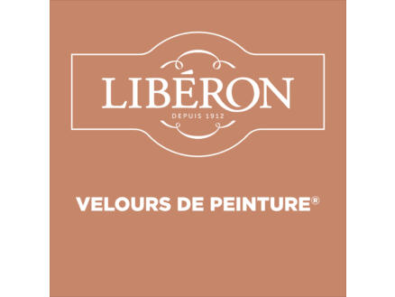 Velours de peinture peinture murale et plafond terre cuite d'anjou 2,5l ...