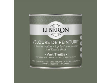 Velours de peinture peinture murale et plafond vert treillis 0,5l | Hubo