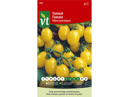 VT Yellow Pearshaped tomaat 1