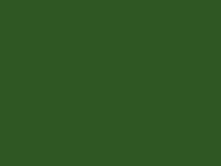 FinFIX Zelfklevende folie 45cm x 2m groen 1