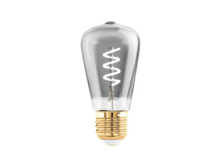 Eglo ampoule LED Edison ST48 E27 4W smoky 1