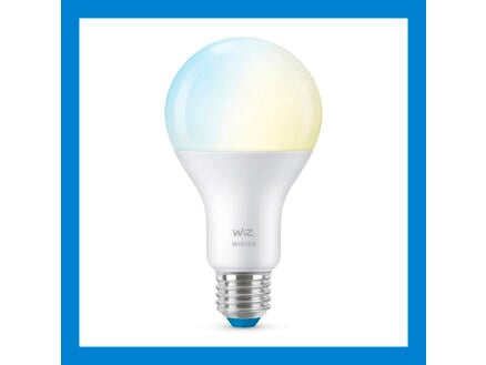 ampoule LED poire E27 100W dimmable 1