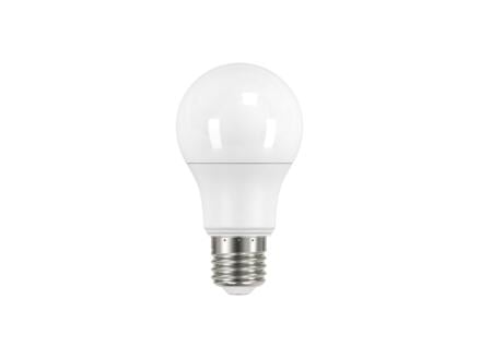 Prolight ampoule LED poire E27 13,5W blanc froid 1