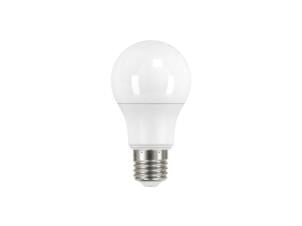 Prolight ampoule LED poire E27 13,5W blanc froid