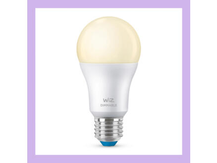 ampoule LED poire E27 60W blanc chaud 1