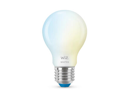 ampoule LED poire E27 60W dimmable 1