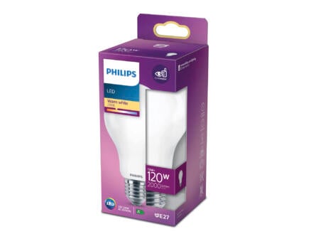 Philips ampoule LED poire verre mat E27 13W
