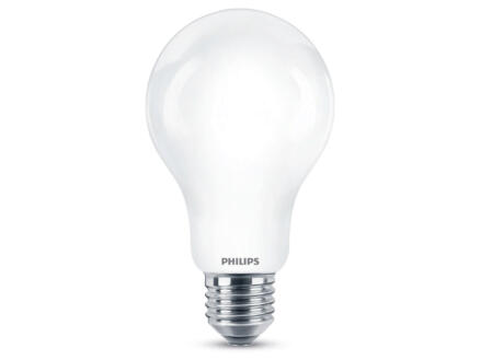 Philips ampoule LED poire verre mat E27 13W