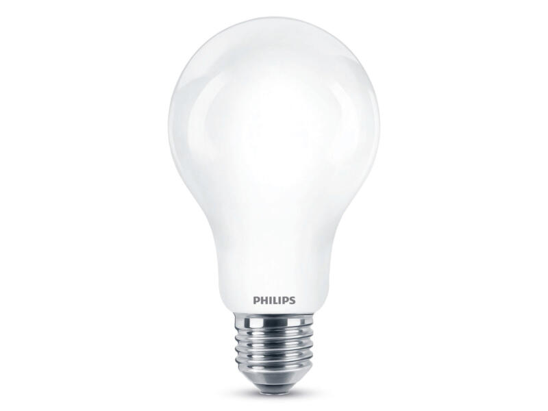 Philips ampoule LED poire verre mat E27 17,5W blanc froid
