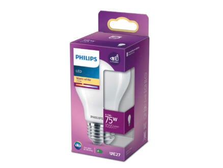 Philips ampoule LED poire verre mat E27 8,5W 1