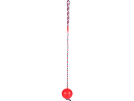 Flamingo bal met koord 60cm rubber beschikbaar in 2 kleuren 1