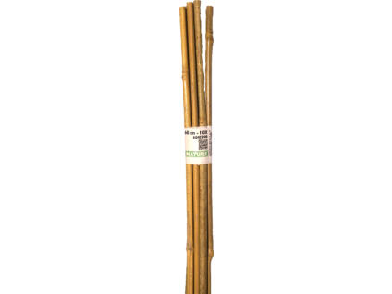 Nature bamboestok 60cm 10 stuks 1