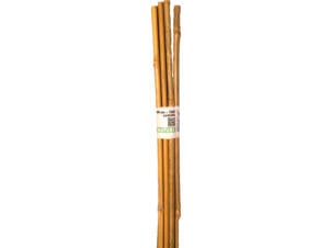 Nature bamboestok 60cm 10 stuks