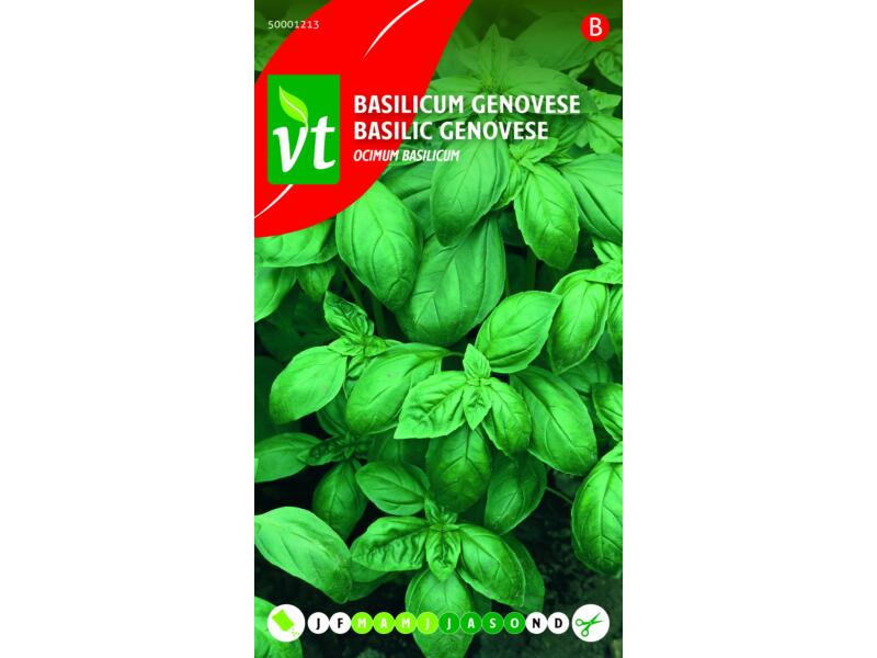 Basilicum verzorging tips & informatie Basilicum verzorging tips & informatie