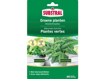 Substral bâtonnets nutritifs plantes vertes 40 pièces 1