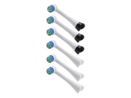 DOMO brossette de remplacement pour brosse à dents électrique DO1064TB 6 pièces