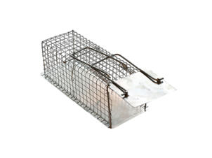 Edialux cage à rats avec 1 entrée