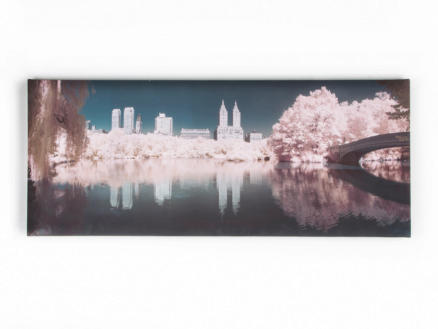 Art for the Home canvasdoek panorama 100x40 cm central park 1