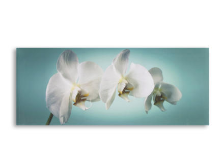 Art for the Home canvasdoek panorama 100x40 cm orchidee blauw 1